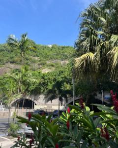 Příroda nedaleko penzionu