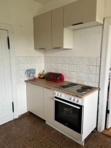 a kitchen with a stove and a counter top at Sumowko - Oaza Spokoju  +16 photos