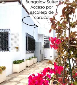 a courtyard of a white building with pink flowers at Mandala Bungalows - Adults Only in Los Caños de Meca