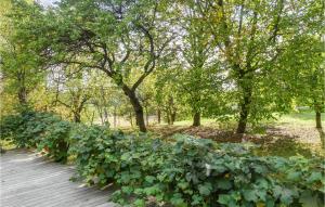 Un camino de madera en un parque con plantas verdes. en Ferienwohnung In Limbach, en Limbach im Burgenland 8 fotos más