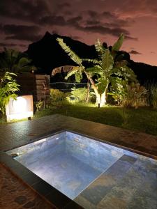 a swimming pool in the middle of a garden at night at Fare Moorea in Moorea