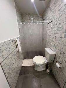 a bathroom with a toilet and a shower at Departamentos Lucinda in Ushuaia