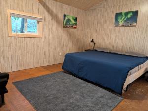 a bedroom with a blue bed and a window at Sven's Basecamp Hostel in Fairbanks