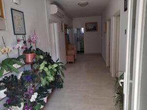 Fotografie z fotogalerie ubytování Apartments with parking spaces Palit, Rab - 14610 v Rabu