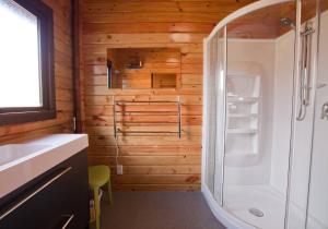 Koupelna v ubytování Hall's Cabin - Lake Tekapo