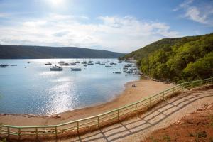 a view of a beach with boats in the water at Family friendly house with a swimming pool Barban, Central Istria - Sredisnja Istra - 24471 in Barban