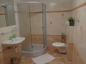 bagno con doccia, lavandino e servizi igienici di Penzion Elzet a Třeboň