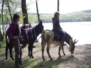 two women are riding on horses near a lake at Charming Apartment in Ardennes in Signy-lʼAbbaye +22 photos