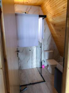 a bathroom with a shower and a toilet in a attic at Chalé Bela Vista in Munhoz