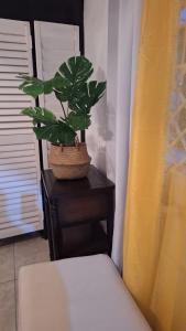 Postel nebo postele na pokoji v ubytování Mandeville Hideaway