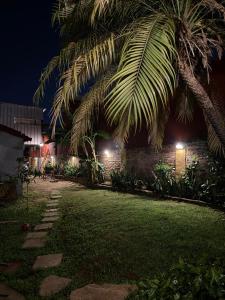 アスンシオンにあるAlojamiento Ecológico Asunciónの夜の庭のヤシの木