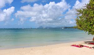 a person laying on a beach with the ocean at APPARTEMENT CAMELIA avec PISCINE et à 3 min de la PLAGE Pointe Marin in Sainte-Anne