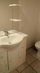 a bathroom with a sink and a mirror and a toilet at Appartement spacieux de plain pied in Eugénie-les-Bains +1 photo