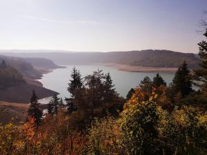 a view of a lake from a hill with trees at Chalet chaleureux - Ecureuil in Maisod