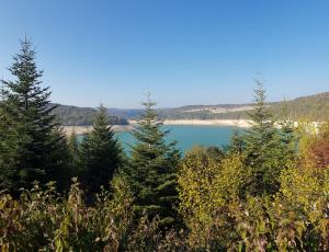 a view of a lake with trees in the foreground at Chalet chaleureux - Ecureuil in Maisod +3 photos