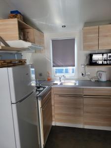une cuisine avec un réfrigérateur blanc et un évier dans l'établissement Camping Le Hameau Des Pécheurs, à Novalaise 43 autres photos