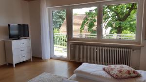 TV a/nebo společenská místnost v ubytování Ferienwohnung & Gästezimmer Rixner
