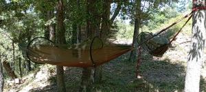 a hammock tied to a tree in the woods at Hamacs Carbounieros in Auriac