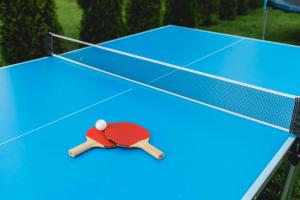 a toy person laying on a ping pong table at Pensiunea Alexia in Novaci-Străini