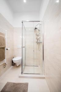 ブダペストにあるLittle Boss Apartmentのバスルーム(ガラス張りのシャワー、トイレ付)