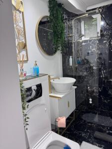 ein Badezimmer mit Waschbecken und Toilette in der Unterkunft Ianis Home in Hunedoara