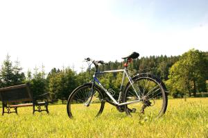 Jazda na bicykli v okolí ubytovania Villa la Val, Karkonosze