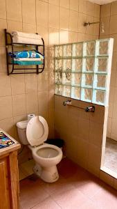 a small bathroom with a toilet and a shower at Hotel Hermoso Guanajuato in Guanajuato