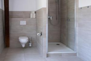 a bathroom with a shower and a toilet at Ferienwohnung Hof Armada in Wiesbaden +30 photos
