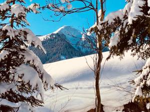 Apartment in Saalbach-Hinterglemm near Ski Area v zime