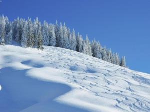 Apartment in Saalbach-Hinterglemm near Ski Area v zime