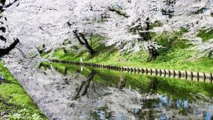 a reflection of trees in a body of water at Kanesada Ryokan in Kuroishi