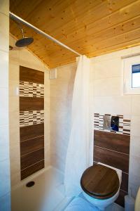 a bathroom with a toilet and a shower at Agroturystyka SzumyNowiny in Majdan Sopocki