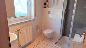 a small bathroom with a toilet and a shower at Ferienhaus Gönen in Bleialf +42 photos
