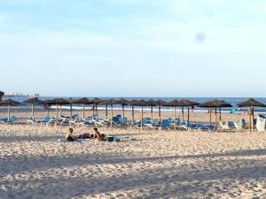 A beach at or near the holiday home