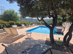 a pool with chairs and a table and a tree at Gites Colline De Sollies in Salernes