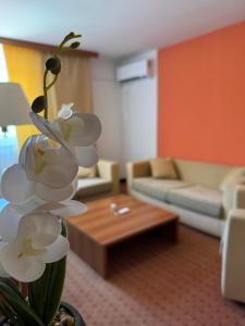 Posezení v ubytování Hotel Petar