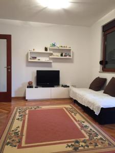 a living room with a bed and a flat screen tv at Apartment Natasa in Budva