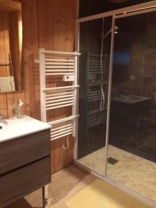a bathroom with a glass shower and a sink at Studio bois avec terrasse et jardin bassin et océan in Le Teich