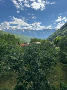 a view of a valley with a tree and mountains at Guest House Vivaushba in Bagvdanari