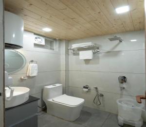 a bathroom with a toilet and a sink at Excel Hotels & Resorts Mall Road Nainital in Nainital +39 photos