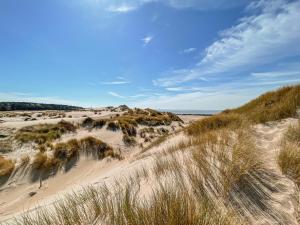 a beach with sand dunes and the ocean at Spiegelhuisje aan zee in Burgh Haamstede
