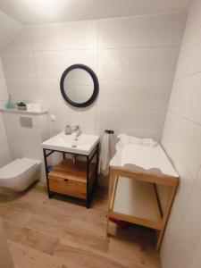 a bathroom with a sink and a toilet and a mirror at Willa Jasiu in Władysławowo
