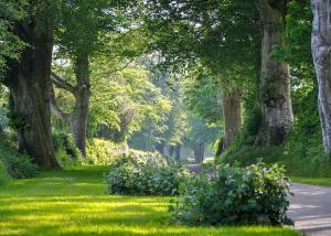 a path through a park with trees and flowers at Woodovis Park in Tavistock