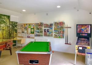 a room with a pool table and a video game at Woodovis Park in Tavistock