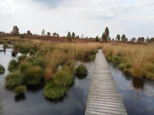 a wooden bridge over a body of water at Zimmermanns 1 in Monschau