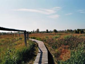 a wooden boardwalk in a field with a fence at Zimmermanns 1 in Monschau