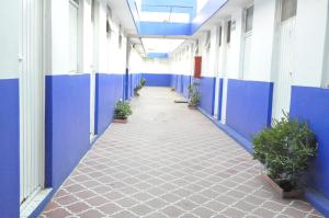 un pasillo de un edificio de oficinas con paredes azules y macetas en Hotel Metropolitan II, en Irapuato