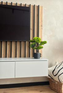 Μια τηλεόραση ή/και κέντρο ψυχαγωγίας στο Central Apartment