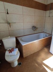 a bathroom with a toilet and a bath tub at Anna's Apartment in Gaios