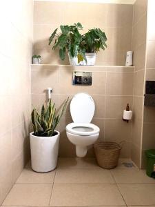 baño con aseo y plantas en la pared en Bamburi luxury studios, en Mombasa
